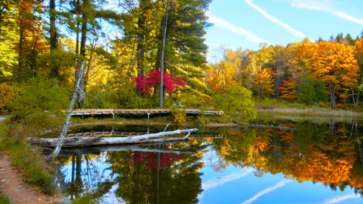 1213448 (a): :2048x1152